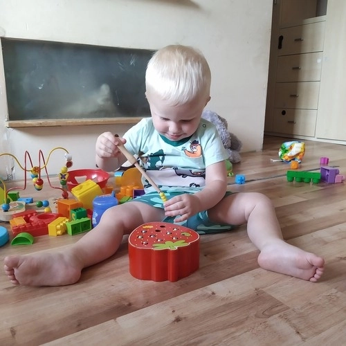 Wooden Magnetic Strawberry Game