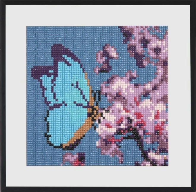 Diamond Painting Butterfly Craft Kit