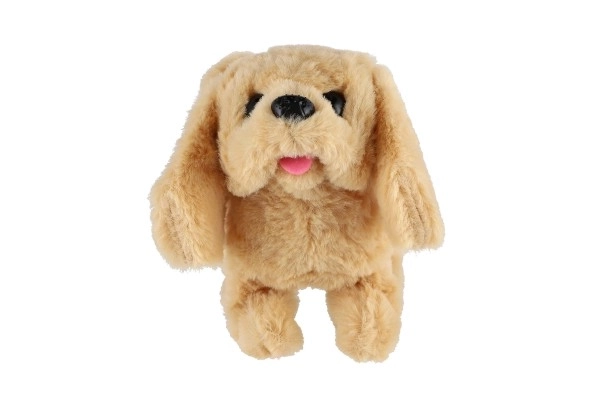 Walking and Barking Plush Dog Toy