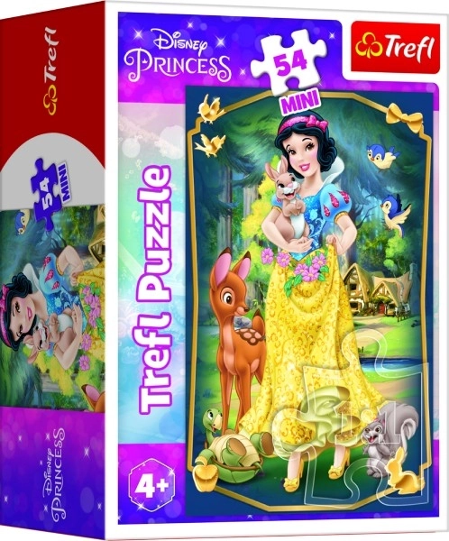 Disney Princess Mini Puzzle