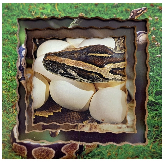 Snake Life Cycle Layered Wooden Puzzle