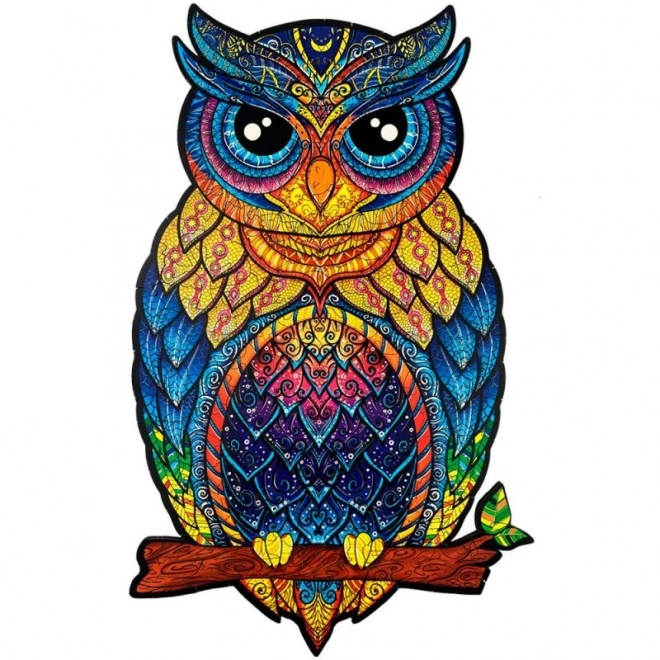 Charming Owl Wooden Color Puzzle