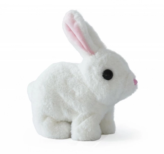 Battery Operated Bunny Toy