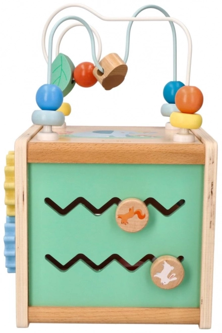 Activity Cube with Motor Loop