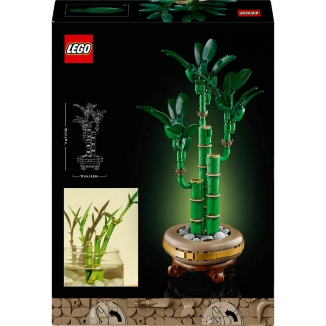 Decorative LEGO Botanicals Dracaena Sanderiana Plant