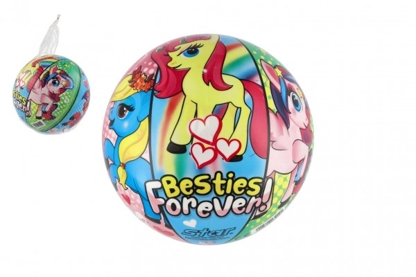 Inflated Pony Ball 23cm with Net