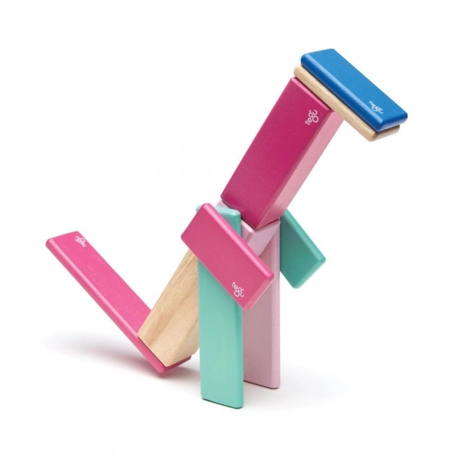 Magnetic Building Blocks Tegu Blossom Set