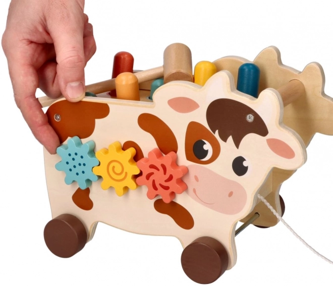 Educational Activity Center Cow