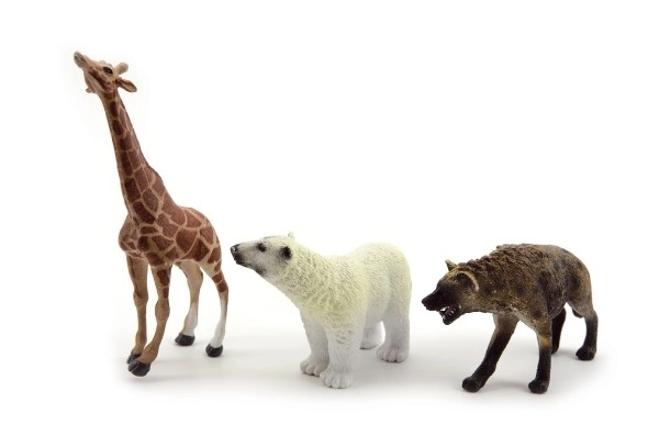 Safari Zoo Animal Figures Set