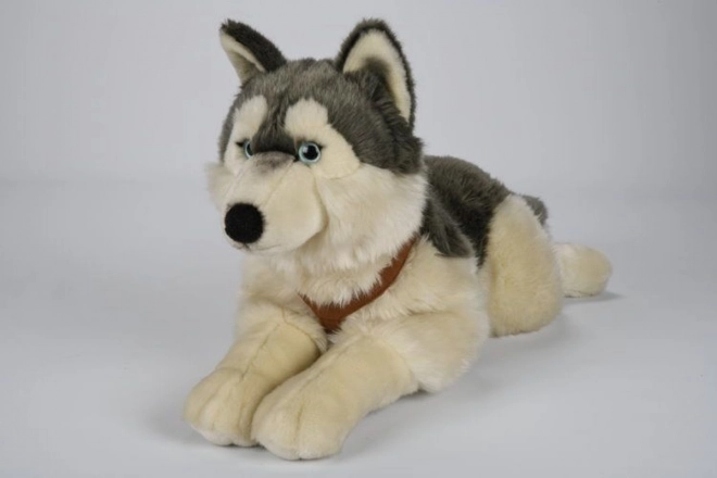 Large Plush Husky Dog