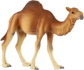 Realistické detaily pouštního obra