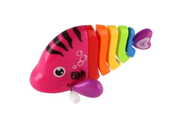 Colorful Wind-up Plastic Fish Toy