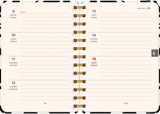 Notique Spiral 18-Month Diary Abstract 2024/2025