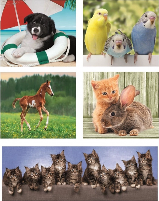 Clementoni Animal Friends Puzzle Set