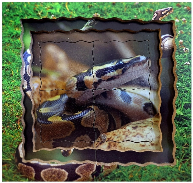 Snake Life Cycle Layered Wooden Puzzle