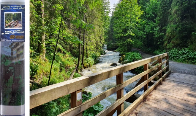 Diamond Painting Wooden Bridge in Forest 30x40cm