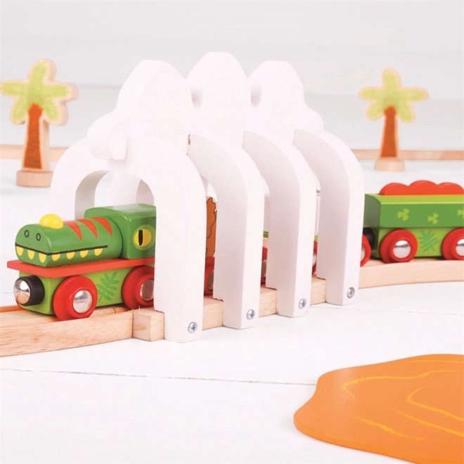 Bigjigs Rail Dinosaur Train Set