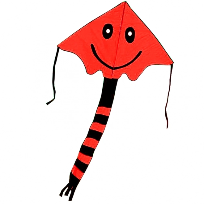 Flying Kite with Face Design