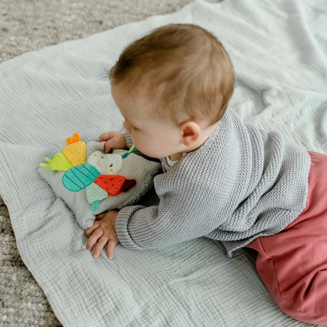 Butterfly Plush Pillow for Babies