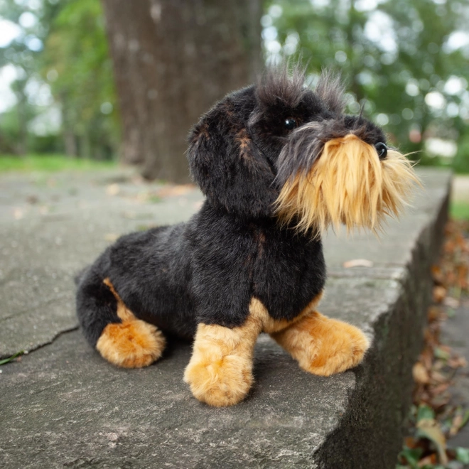 Plush Wire-haired Dachshund Sitting 30 cm