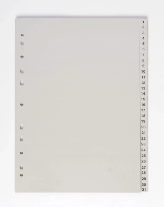 Document Divider A4 With Index 1-31