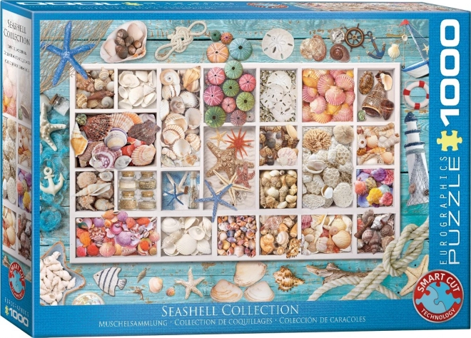 Eurographics Puzzle Laura's Shell Collection 1000 Pieces