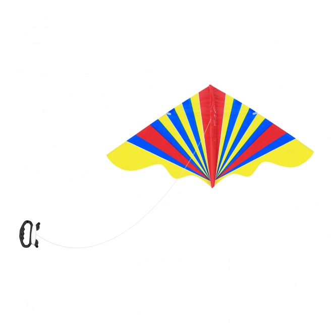 Colorful Flying Kite