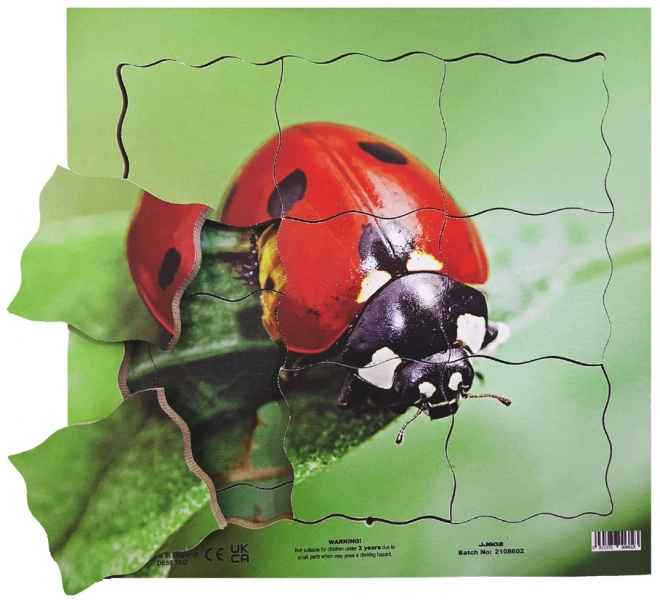 Wooden Layered Puzzle Ladybug Life Cycle