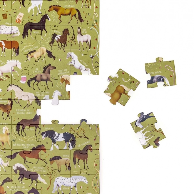 Horse Puzzle 60 Pieces