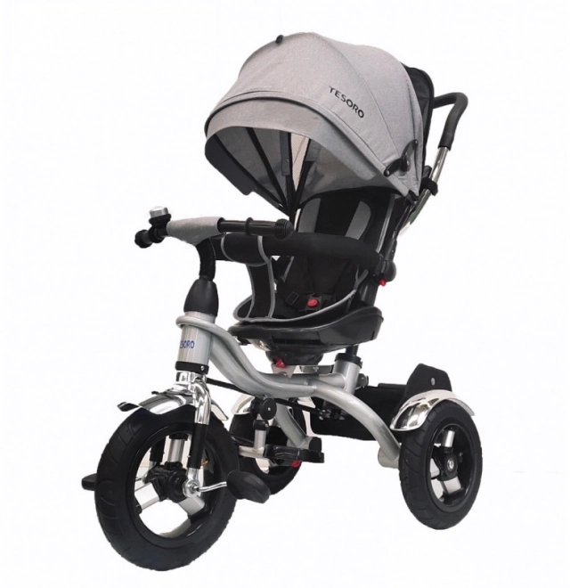 Tesoro Deluxe Tricycle with Grey Frame