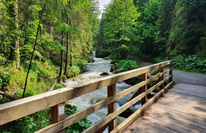 Diamond Painting Wooden Bridge in Forest 30x40cm