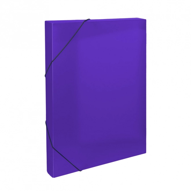 Purple A4 Document Storage Box with Elastic Band