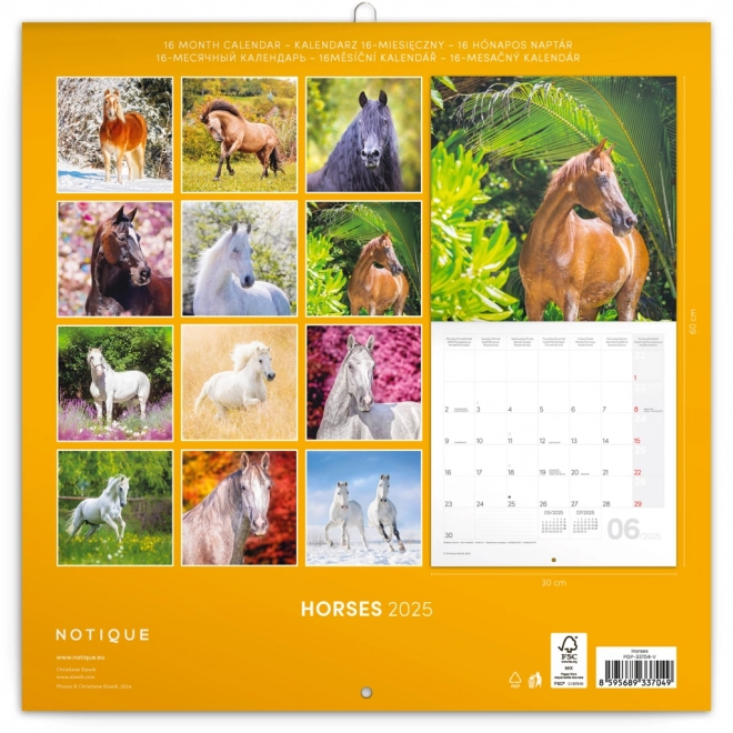 Notique Horse Calendar by Christiane Slawik 2025