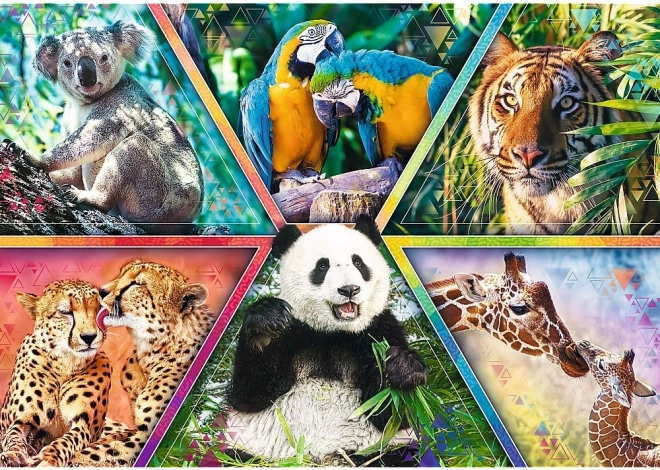 Collage vibrant de nature sauvage