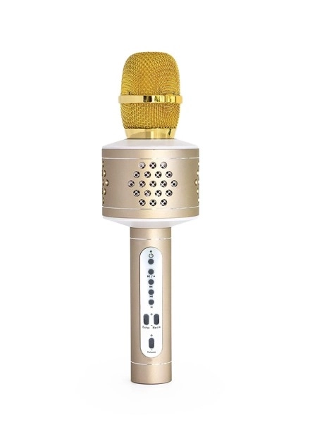 Bluetooth Karaoke Microphone Silver – Gold