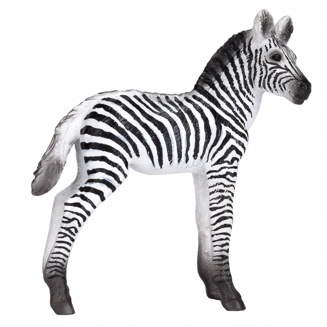 Mojo Zebra Foal