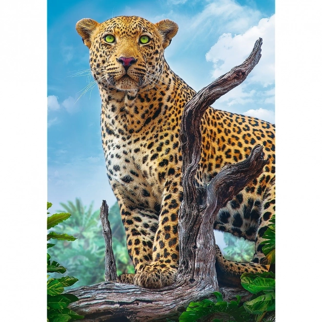 Wild Leopard 500 Piece Jigsaw Puzzle