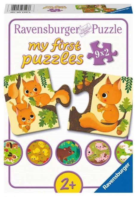 My First Animals And Their Babies Puzzle