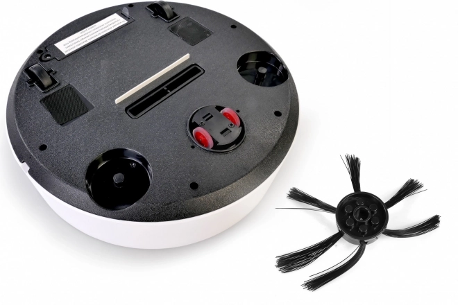 Robot vacuum cleaner Home