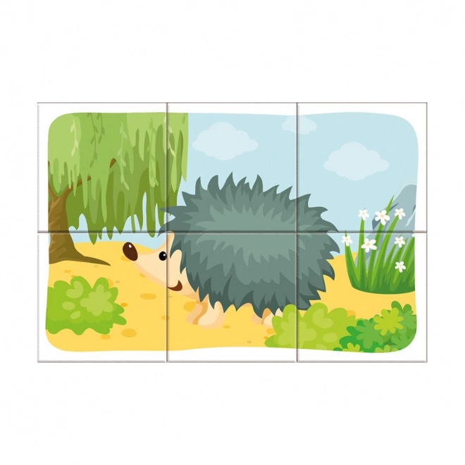 Forest Animals Picture Blocks