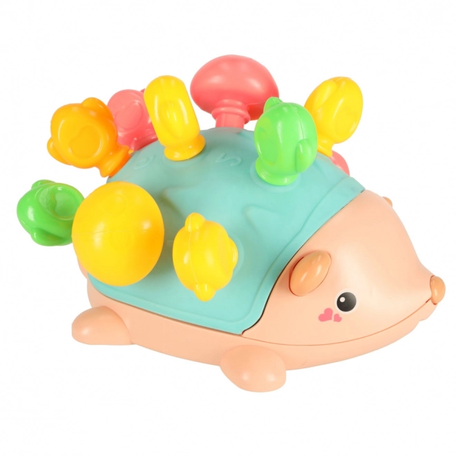 Educational Sensory Hedgehog Green