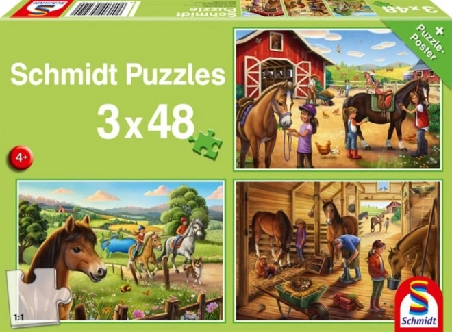 Schmidt My Favorite Horses 3x48 Piece Puzzle