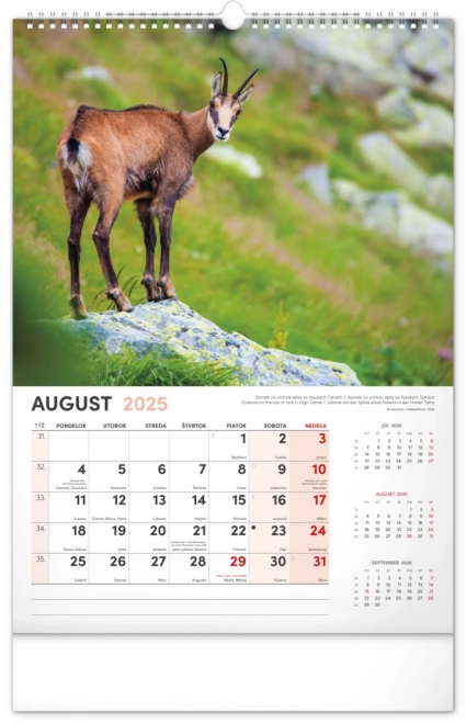 Wall Calendar Our Slovakia 2025