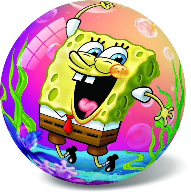 Spongebob Ball 20cm in Net