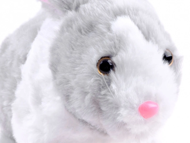 Interactive Bunny Toy with Carrot – gray