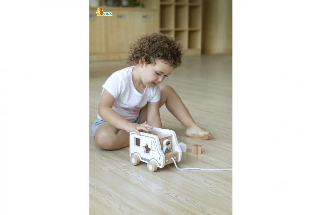 Wooden Pull Along and Shape Sorter Truck