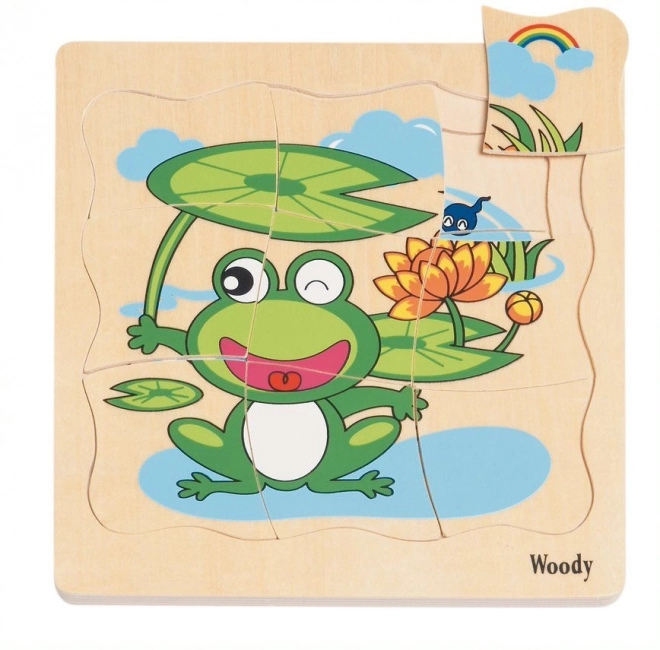 Layered Frog Life Puzzle