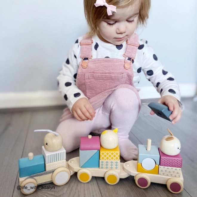 Bigjigs Baby Wooden Animal Train