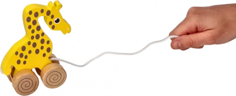 Az első lépések támogatása