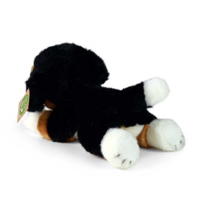 Bernese Mountain Dog Plush Toy 20 cm Eco-Friendly